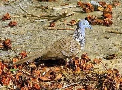 臺風苗柏最新動態(tài)，風暴中的力量與影響視頻報道