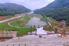 陽江森林公園最新動態(tài)更新，最新消息匯總