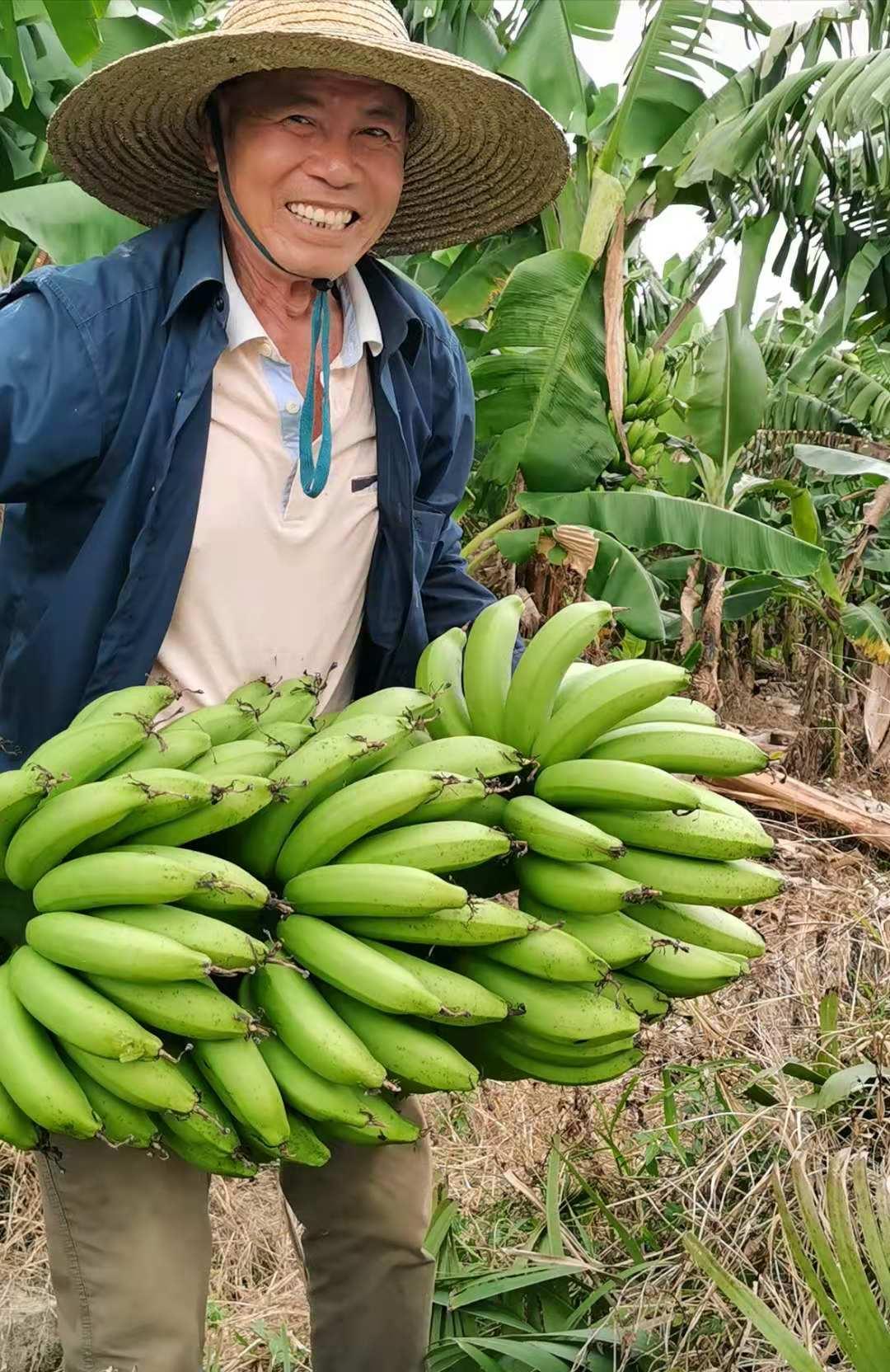 吳川新聞蘭石最新消息全解析，獲取指南助力初學(xué)者與進(jìn)階用戶