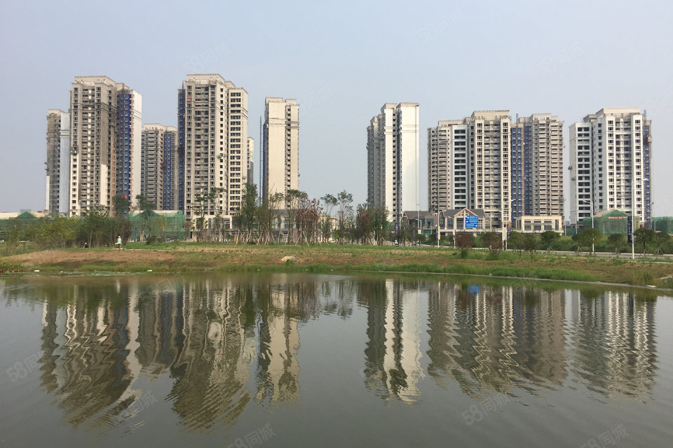 成都天府城邦最新動(dòng)態(tài)，城市變遷中的共同成長之路