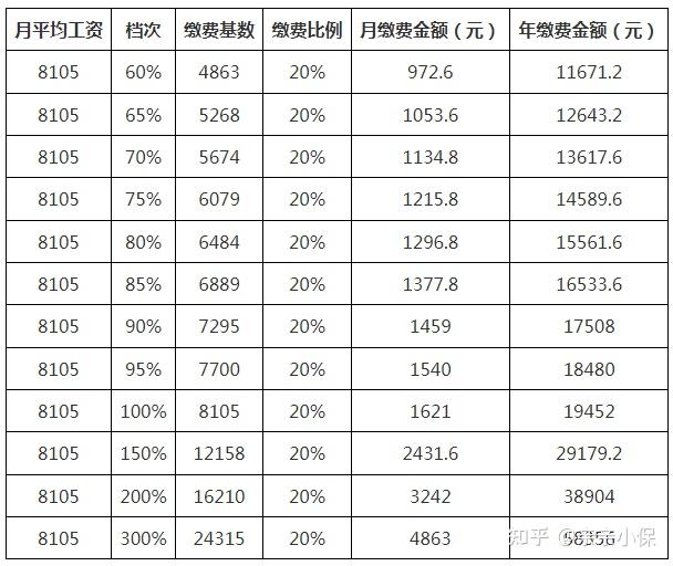 社保長工資最新動(dòng)態(tài)，深度分析與觀點(diǎn)闡述