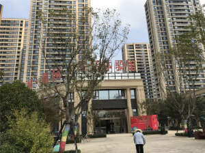 蕭縣綠城樓盤最新動(dòng)態(tài)，市場深度解析與個(gè)人觀點(diǎn)