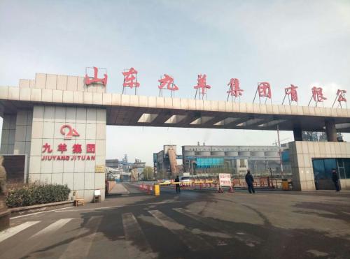 山東九羊公司蓬勃發(fā)展，引領(lǐng)行業(yè)新潮流，最新消息揭秘發(fā)展動(dòng)態(tài)