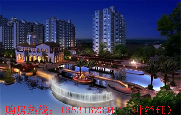 大亞灣羅建強(qiáng)最新消息，深度解析各方觀點(diǎn)與個(gè)人立場(chǎng)闡述