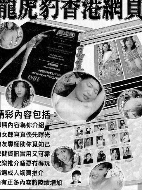 香港龍虎豹最新地址揭秘，探索自然美景，尋覓內(nèi)心寧靜之旅