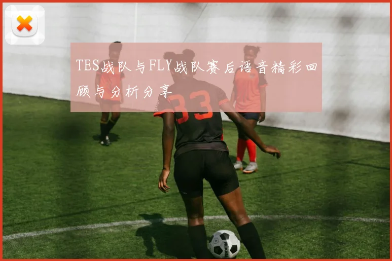 TES战队与FLY战队赛后语音精彩回顾与分析分享