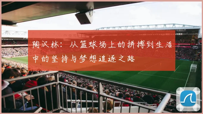 陶汉林：从篮球场上的拼搏到生活中的坚持与梦想追逐之路