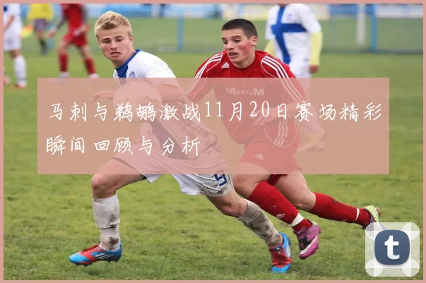 马刺与鹈鹕激战11月20日赛场精彩瞬间回顾与分析
